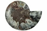 Cut & Polished Ammonite Fossil (Half) - Unusual Black Color #286648-1